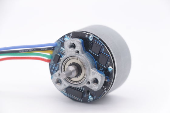 DBL3830O Motor 12v 3500rpm 38mm Outrunner Bürstenloser Motor für Mini-Massagegerät