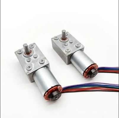 Hochdrehmoment DC Wurmgetriebe Motor Niedriggeschwindigkeits-Power Off Selbstverriegelungsmotor mit Encoder