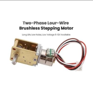 12 mm Drehwinkel-DKK-Wurmgetriebe Motor Permanent Magnet Bürstenloser Schrittmotor